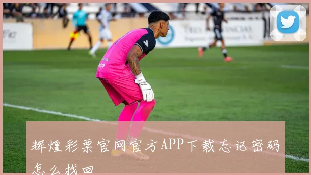 辉煌彩票官网官方APP下载忘记密码怎么找回