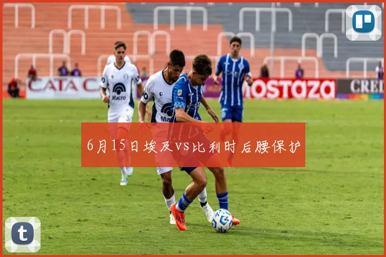 6月15日埃及vs比利时后腰保护