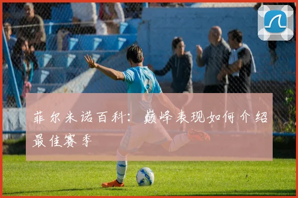 菲尔米诺百科：巅峰表现如何介绍最佳赛季